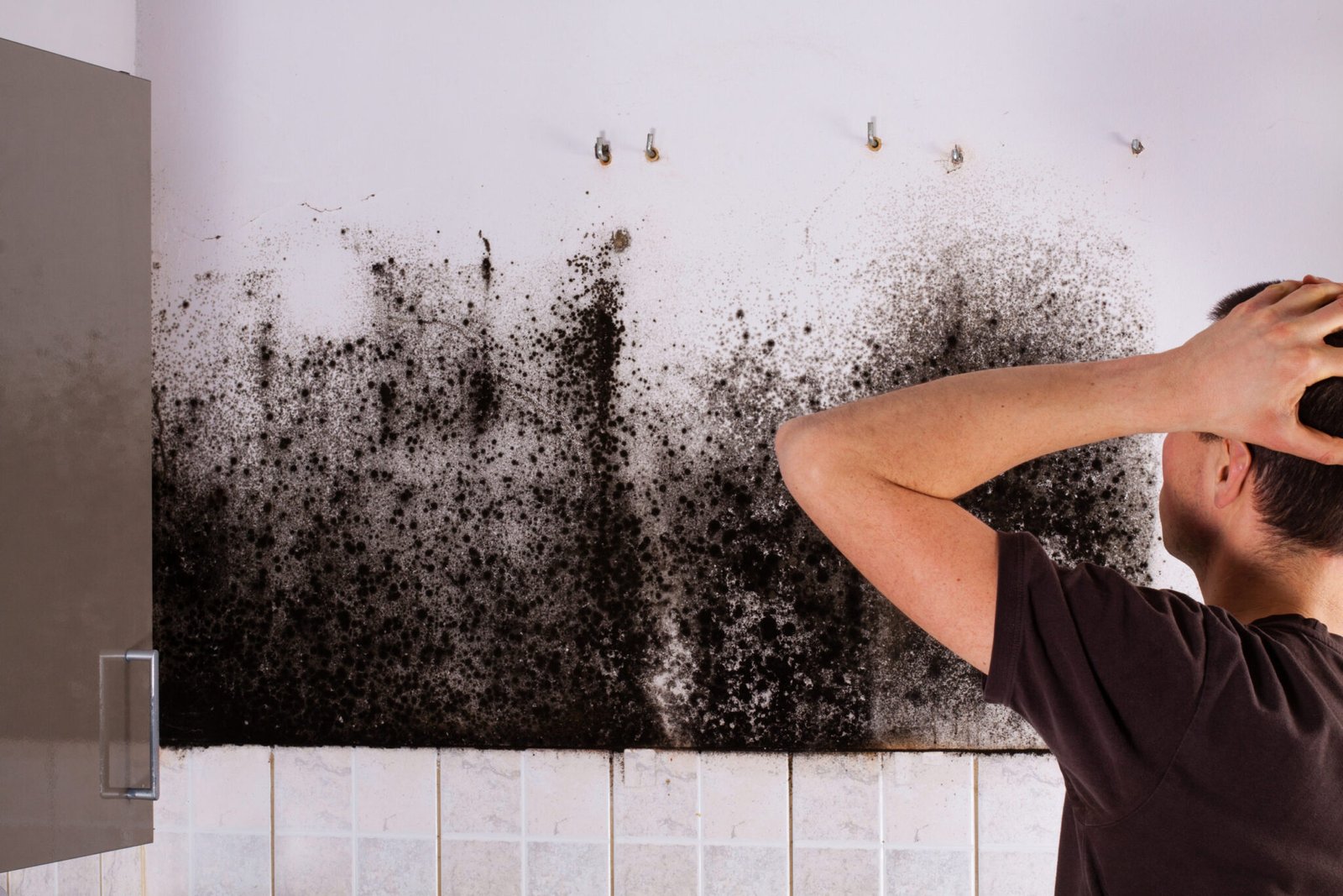 The Importance of Regular Mold Inspections in Beverly Hills: Safeguard Your Property